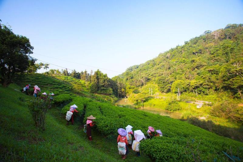 Fuli Hot Spring Resort Yuchi Bagian luar foto